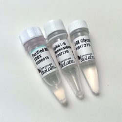 New England Biolabs, Inc.&nbsp;α1-6 Mannosidase - 800 units