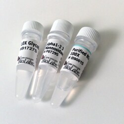 New England Biolabs, Inc. α1-2,3 Mannosidase - 640 units, Quantity: Each
