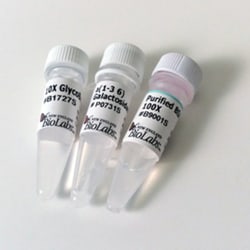 New England Biolabs, Inc. α1-3,6 Galactosidase - 100 units