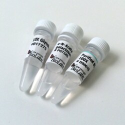 New England Biolabs, Inc. α-N-Acetylgalactosaminidase - 3000 units, Quantity: