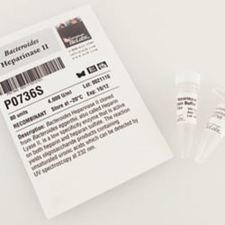 New England Biolabs, Inc.&nbsp;Bacteroides Heparinase II – 80 units