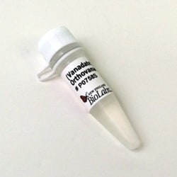 New England Biolabs, Inc. Sodium Orthovanadate (Vanadate) – 1 ml, Quantity: