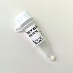 New England Biolabs, Inc. Factor Xa Protease – 250 µg, Quantity: Each of