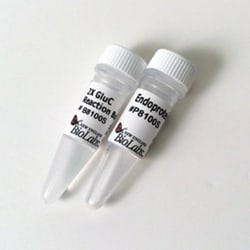 New England Biolabs, Inc. Endoproteinase GluC – 50 µg, Quantity: Each of