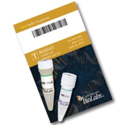 New England Biolabs, Inc. HindIII – 10000 units, Quantity: Each of 1