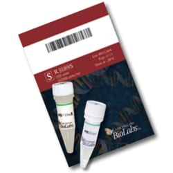 New England Biolabs, Inc. SalI – 2000 units, Quantity: Each of 1