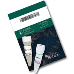 New England Biolabs, Inc. BglII – 10000 units, Quantity: Each of 1