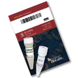 New England Biolabs, Inc. XhoI – 5000 units, Quantity: Each of 1