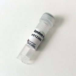 New England Biolabs, Inc. Random Primer 6 – 1 A260 units, Quantity: Each