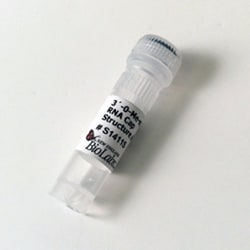 New England Biolabs, Inc. 3'-O-Me-m7G(5')ppp(5')G RNA Cap Structure Analog