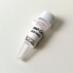 New England Biolabs, Inc. SNAP-Cell Block – 100 nmol, Quantity: Each of