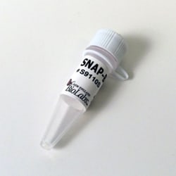 New England Biolabs, Inc. SNAP-Biotin – 50 nmol