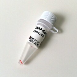 New England Biolabs, Inc. SNAP-Surface 488 – 50 nmol, Quantity: Each of