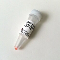 New England Biolabs, Inc.&nbsp;SNAP-Surface Alexa Fluor 488 – 50 nmol