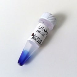 New England Biolabs, Inc. SNAP-Surface 594 – 50 nmol, Quantity: Each of