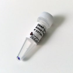 New England Biolabs, Inc. SNAP-Surface Alexa Fluor 647 – 50 nmol, Quantity:
