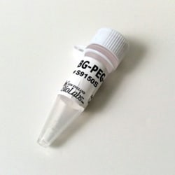 New England Biolabs, Inc. BG-PEG-NH2 – 2 mg