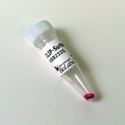 New England Biolabs, Inc. CLIP-Surface™ 547 – 50 nmol