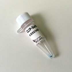 New England Biolabs, Inc. CLIP-Surface™ 647 – 50 nmol