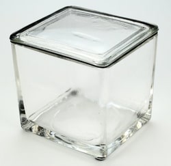 Newcomer Supply Staining Dish for 30 Slide Rack