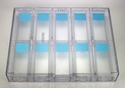 Newcomer Supply Slide Moisture Chamber, Clear. 10 slide chamber for keeping