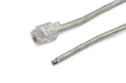 World Precision Instrument 2 Optional Shielded Modular Cables for DAM50