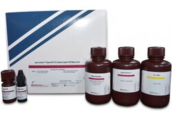 Biogenex Laboratories Detection Kit : 60 Test