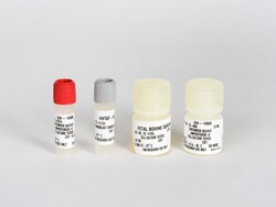 Lonza Walkersville RtEGM Retinal Epithelial Cell Growth Medium SingleQuots