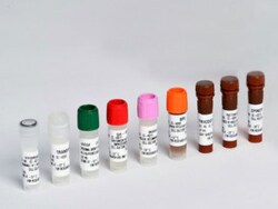 Lonza Walkersville BEGM Bronchial Epithelial SingleQuots Kit, Quantity: