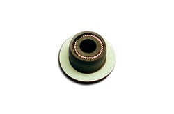 Optimize Technologies&nbsp;ITB&trade; PTFE Plunger Seal, Black, Waters 100 µL Head [M45/45G, M501, 510, 590, 600/600E, 610, 6K/6KA, 515, 1515, 1525]