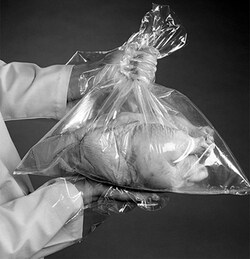 Nelson Jameson Company 3M Bird Rinse Bags, Quantity: Case of 1