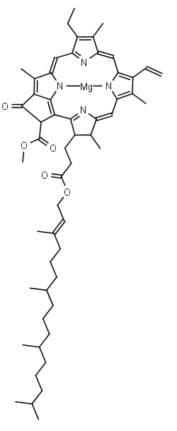 Frontier Specialty Chemicals 10mg Chlorophyll a,, Quantity: Each of 1