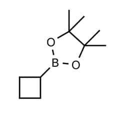 Frontier Specialty Chemicals 1g Cyclobutylboronic acid pinacol ester, 1360914-08-4