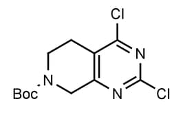 Frontier Specialty Chemicals 5g tert-Butyl 2,4-dichloro-5,6-dihydropyrido[3