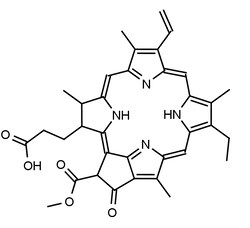 Frontier Specialty Chemicals 250mg Pheophorbide a (mixture of diastereomers),