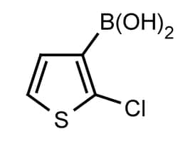 Frontier Specialty Chemicals 1g 2-Chlorothiophene-3-boronic acid, 177734-82-6
