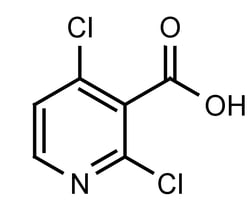 Frontier Specialty Chemicals 5g 2,4-Dichloronicotinic acid, 262423-77-8