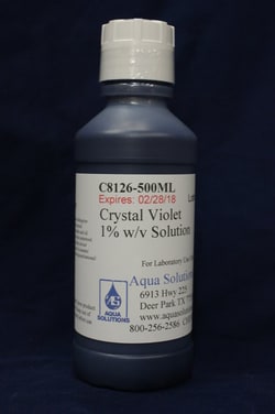 Aqua Solutions Crystal Violet 1% w/v Solution (500ML), Quantity: Each of