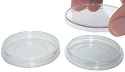 Ted Pella Inc 50 x 7mm, PELCO Clear Wall Glass Bottom Dishes (Glass 30mm), Sleeve/20