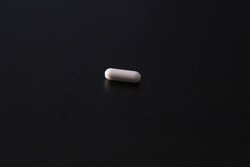 ELITechGroup Magnetic Stir Bar, ChloroChek