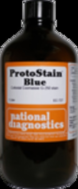 National Diagnostics ProtoStain Blue | 1L, Quantity: Each of 1