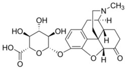 Chem-Impex International, Inc.&nbsp;Adenosine | 58-61-7 | MFCD00005752 | 100G