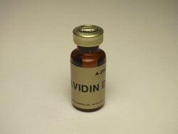 Vector Laboratories Avidin D 10 mg, Quantity: Each of 1