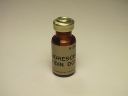 Vector Laboratories&nbsp;Avidin DCS Cell Sorting Grade Fluorescein 1 mg