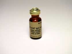 Vector Laboratories Rabbit Anti-Rat IgG Antibody Mouse Adsorbed Unconjugated