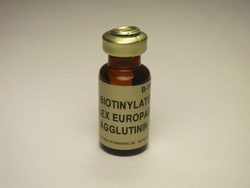 Vector Laboratories Ulex Europaeus Agglutinin I (UEA I) Biotinylated 2 mg