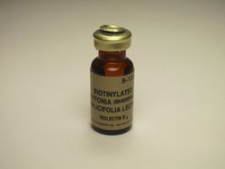 Vector Laboratories GSL I - Isolectin B4 (GSL I-B4 , BSL I-B4 ) Biotinylated