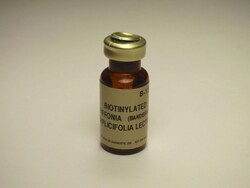 Vector Laboratories Griffonia (Bandeiraea) Simplicifolia Lectin II (GSL