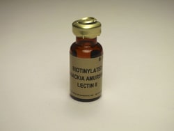 Vector Laboratories Maackia Amurensis Lectin II (MAL II) Biotinylated 1