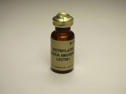 Vector Laboratories Maackia Amurensis Lectin I (MAL I) Biotinylated 2 mg,